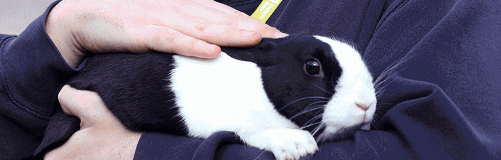 Agriculture, Horticulture and Animal Care