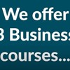 A Level Business