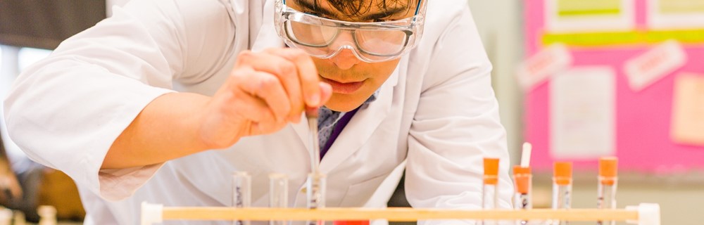 Science and Mathematics