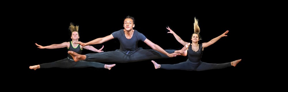 Arts, Media and Publishing