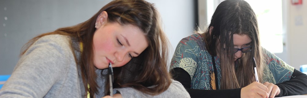 Languages, Literature and Culture