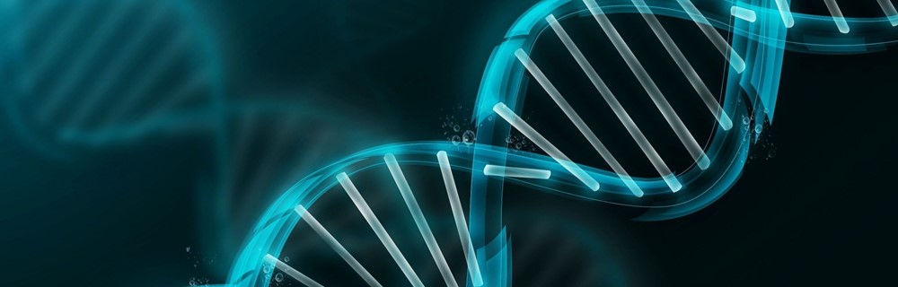 Science and Mathematics