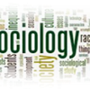 Sociology A Level